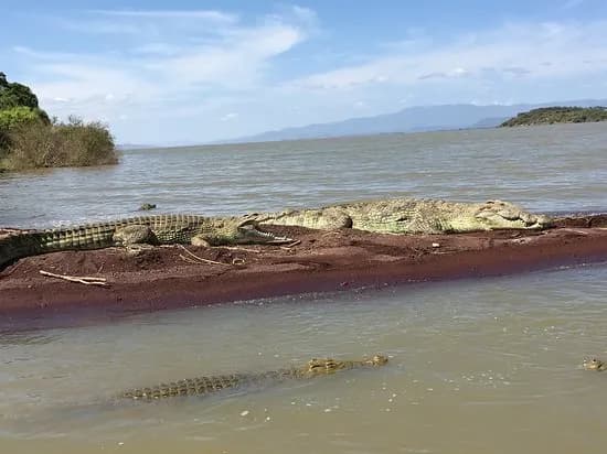 Lake Chamo